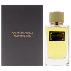 Dolce and Gabbana Velvet Mimosa Bloom Eau De Parfum-Thefragrancemart.com