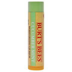 Burts Bees Cucumber Mint Moisturizing Lip Balm -Thefragrancemart.com
