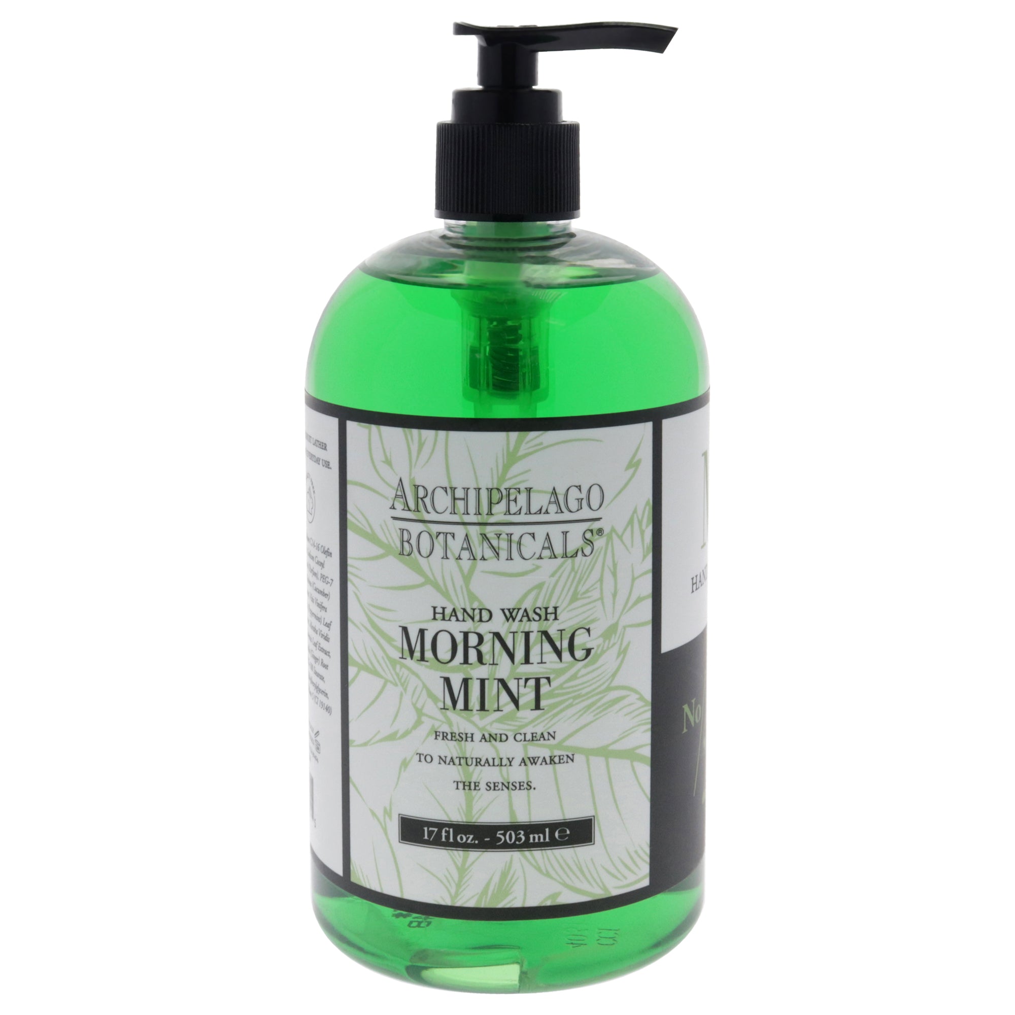Archipelago Botanicals Hand Wash - Morning Mint -Thefragrancemart.com