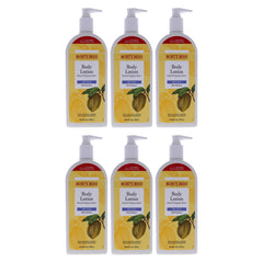 Burts Bees Cocoa and Cupuacu Butters Body Lotion - Pack of 6 -Thefragrancemart.com