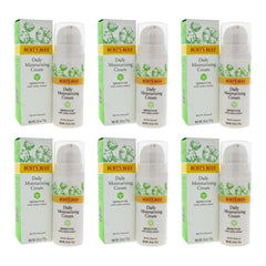 Burts Bees Sensitive Daily Moisturizing Cream - Pack of 6 -Thefragrancemart.com