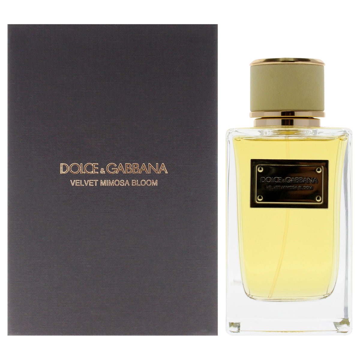 Dolce and Gabbana Velvet Mimosa Bloom Eau De Parfum-Thefragrancemart.com