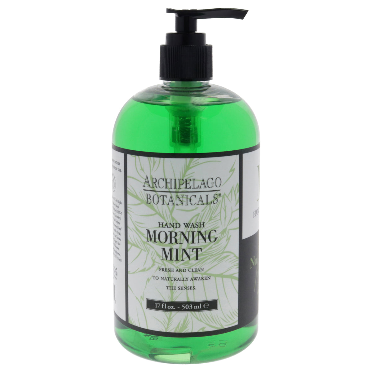 Archipelago Botanicals Hand Wash - Morning Mint -Thefragrancemart.com