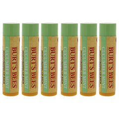 Burts Bees Cucumber Mint Moisturizing Lip Balm - Pack of 6 -Thefragrancemart.com
