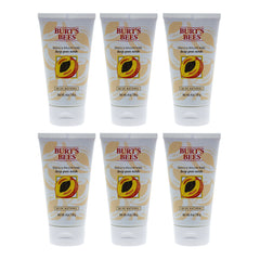 Burts Bees Peach and Willow Bark Deep Pore Scrub - Pack of 6 -Thefragrancemart.com